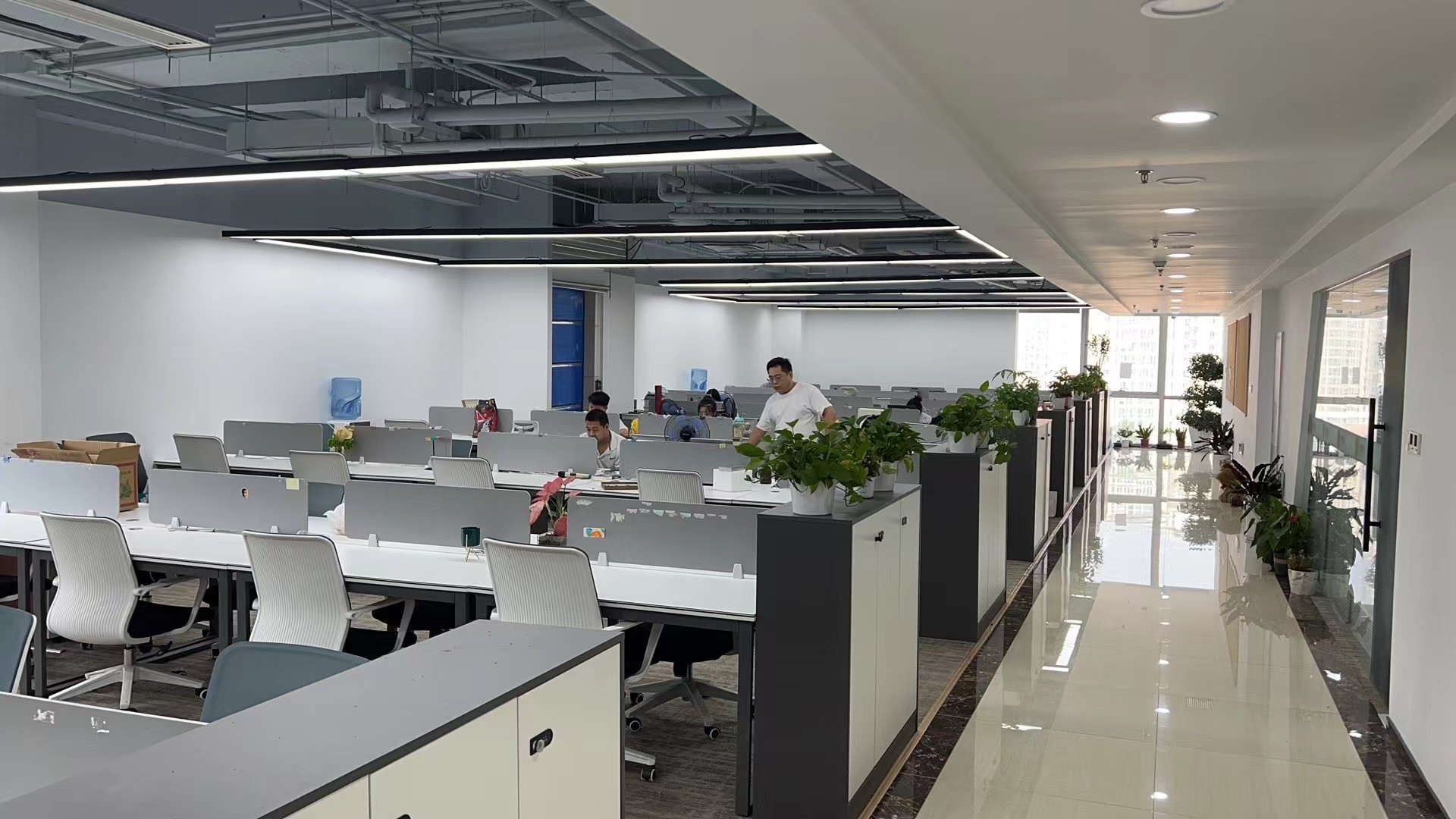 Chine Pro-Digital Technology Limited Profil de la société